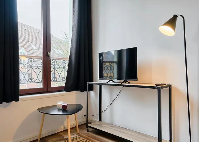 Apartamento La Parenthese Lilloise Lila